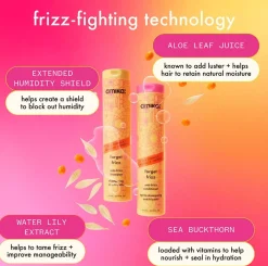 Amika Forget Frizz Anti-Frizz Conditioner 275 ml
