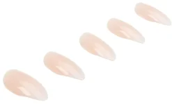 Ardell Nail Addict French Ombre Fade