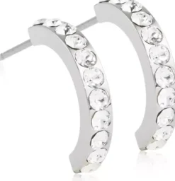 BlomdahlNatural Titanium Pendant Brilliance Curved Crystal