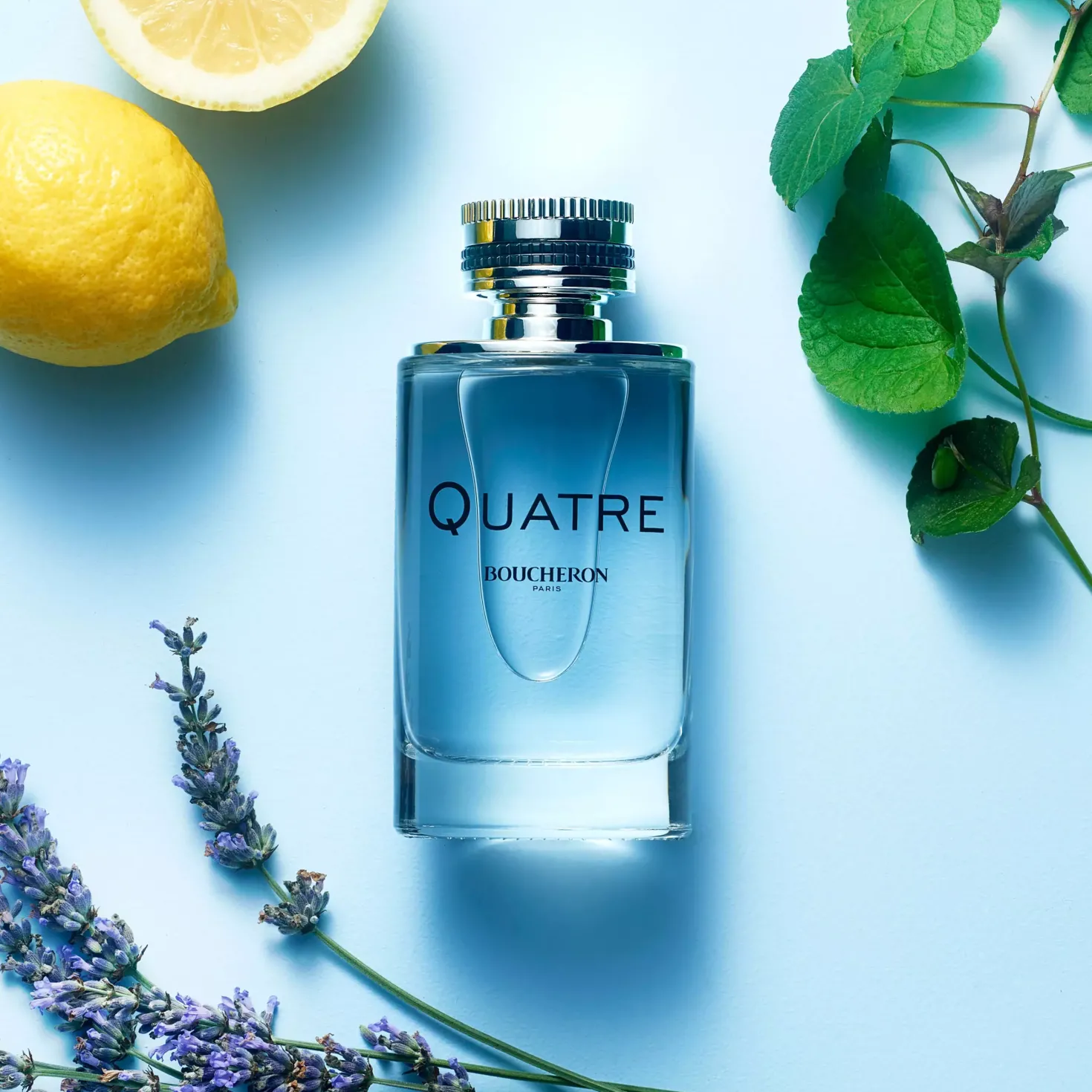 Boucheron Quatre Pour Homme Eau de Toilette 100 ml