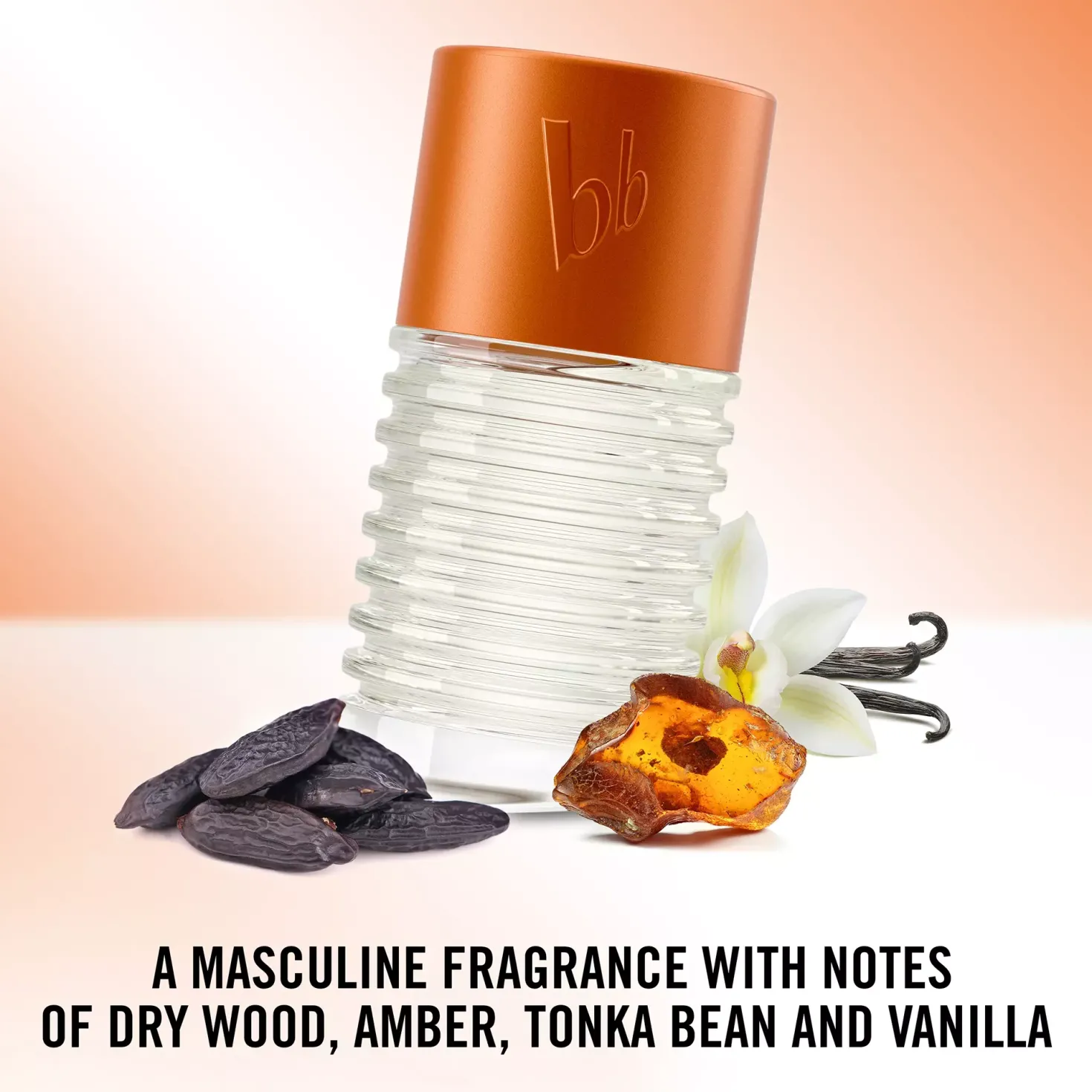 Bruno Banani Absolute Man Eau de Toilette For Men 30 ml