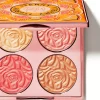 By TerrySunny Flash Glow Brightening Cc  Palette