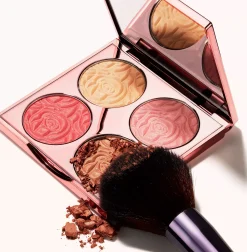 By TerrySunny Flash Glow Brightening Cc  Palette