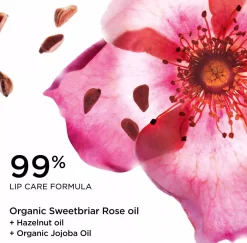 ClarinsLove Collection Lip Oil Balm 08