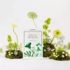 DAVROEVolume Senses Trio Pack