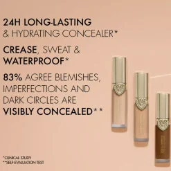 Dolce & Gabbana Everlast Concealer 24H Wear Crease-Proof Hydrating 17 Medium