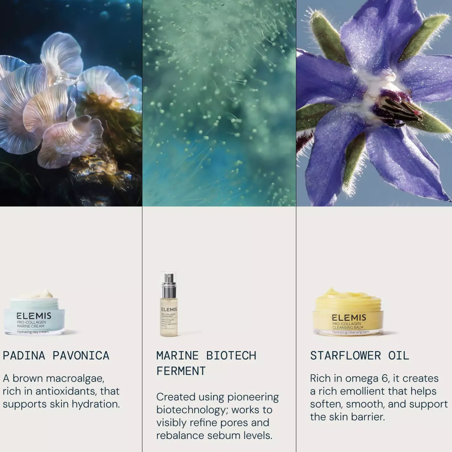 Elemis Cleansing Routine Builder Set