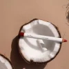 Ere Perez Coco Crayon Brave