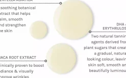 Evolve Organic Beauty Sunless Glow Tanning Drops 30 ml