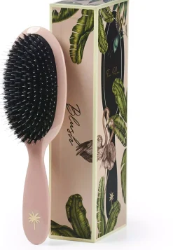 Fan Palm Medium Blush Brush