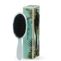 Fan Palm Medium Maldives Brush