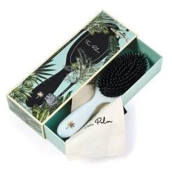 Fan Palm Medium Maldives Brush