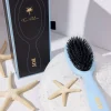 Fan Palm Small Boy Brush