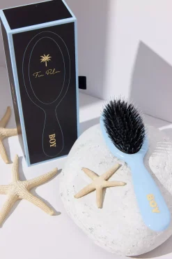 Fan Palm Small Boy Brush