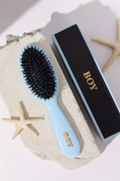 Fan Palm Small Boy Brush