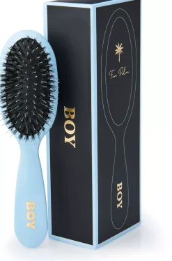Fan Palm Small Boy Brush