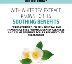 GoldwellDualsenses Scalp Specialist Sensitive Foam Shampoo 250 ml