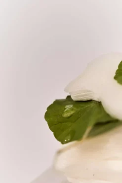 haruharu wonder Centella 3% PHA Gentle Liquid Exfoliating Serum 120 ml