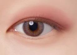 I'm Meme Color Pattern Palette 001 Coral Pattern