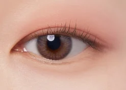I'm Meme Color Pattern Palette 001 Coral Pattern