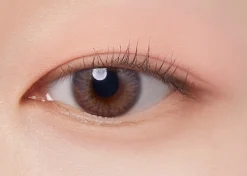 I'm Meme Color Pattern Palette 001 Coral Pattern