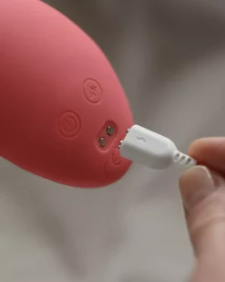 iroha SAKURA Nadeshiko Vibrator