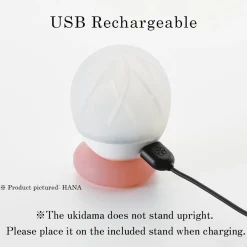 iroha Ukidama TAKÉ massage vibrator TAKÉ