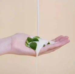 Isntree Green Tea Fresh Emulsion 120 ml