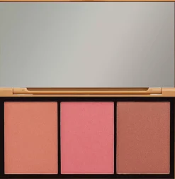 JASON WU BEAUTY 3 Color Blush Palette Palette Sexed