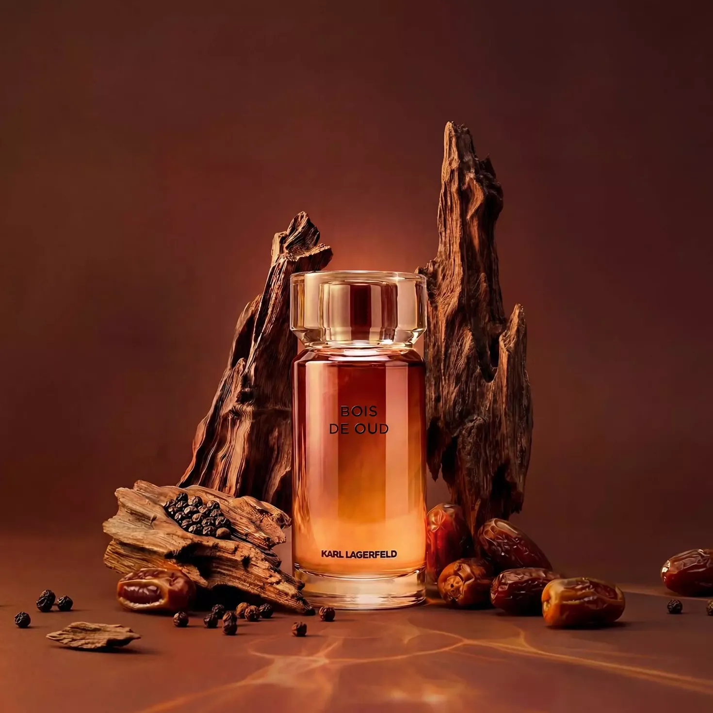 Karl Lagerfeld Les Parfums Matières Bois de Oud Eau de Toilette 50 ml
