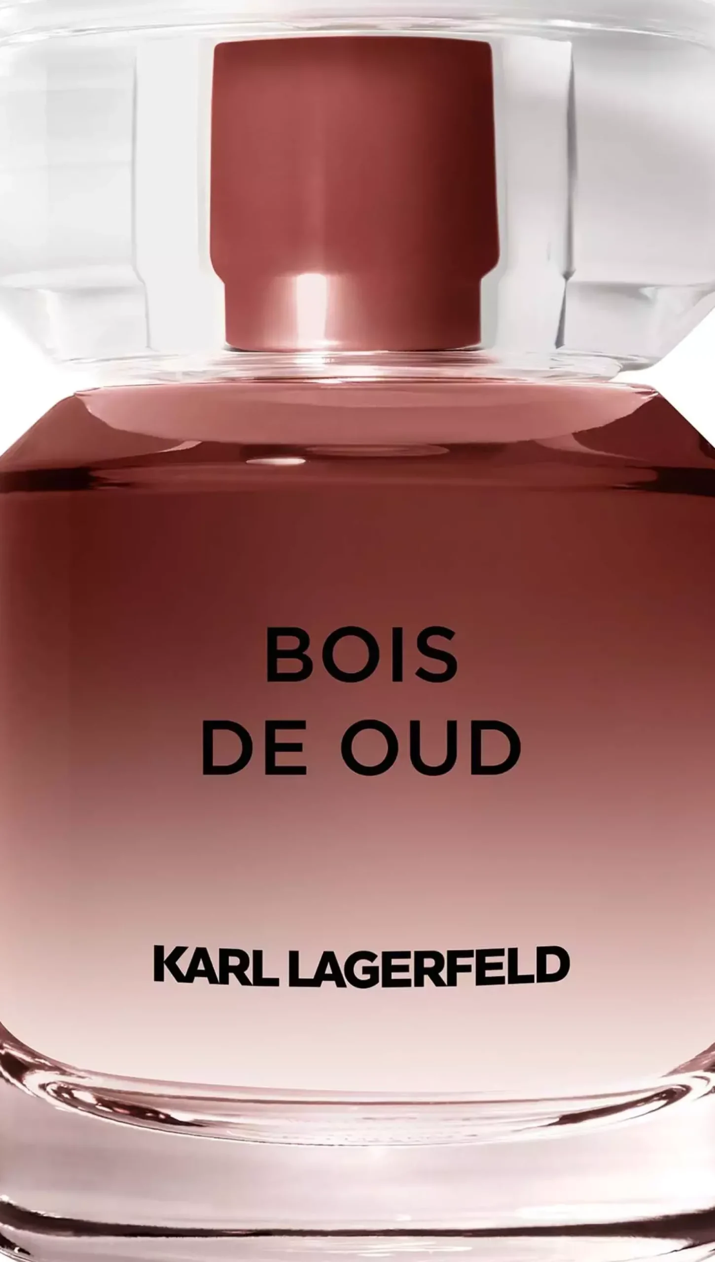 Karl Lagerfeld Les Parfums Matières Bois de Oud Eau de Toilette 100 ml