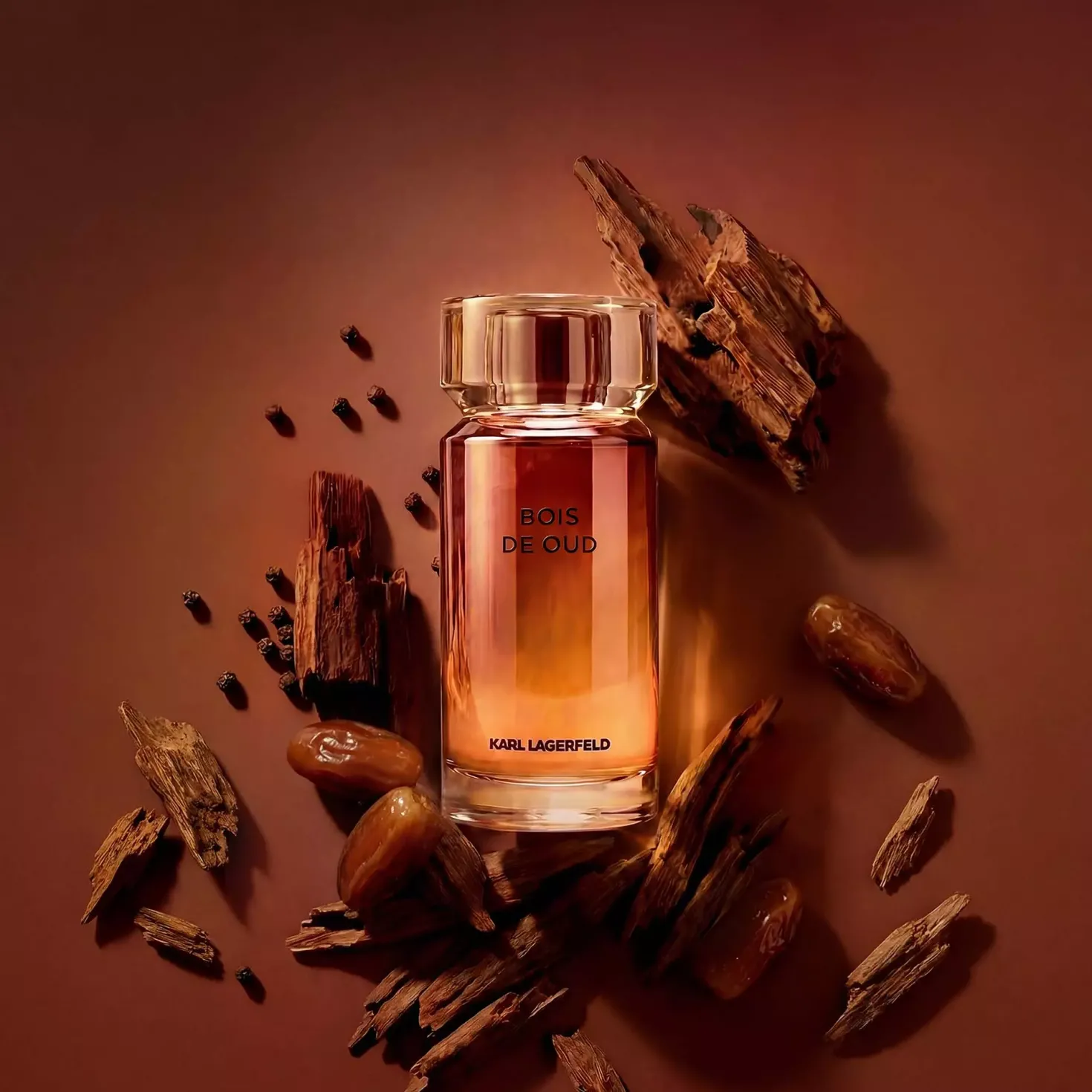 Karl Lagerfeld Les Parfums Matières Bois de Oud Eau de Toilette 100 ml