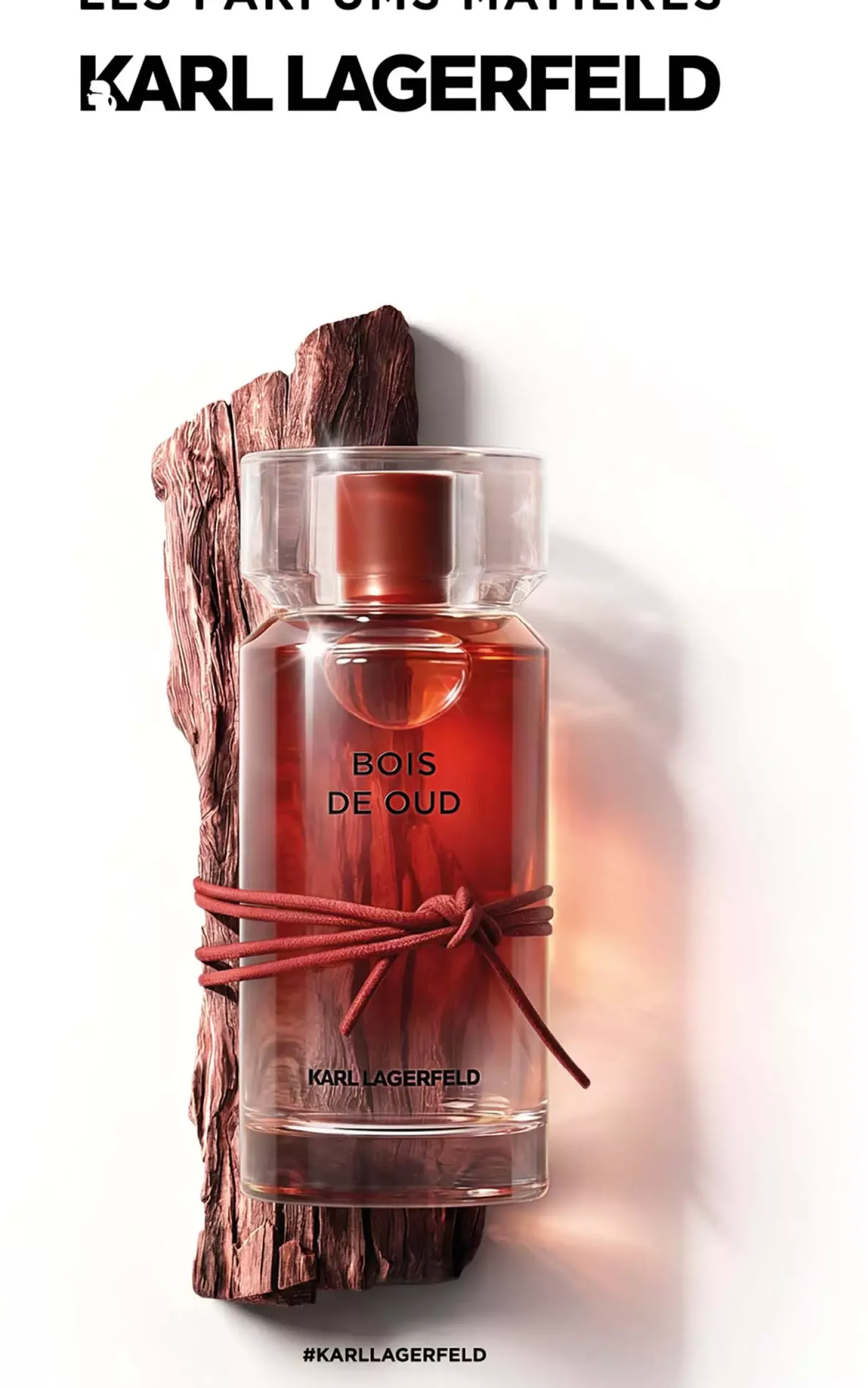 Karl Lagerfeld Les Parfums Matières Bois de Oud Eau de Toilette 100 ml