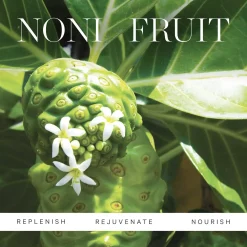 KORA Organics Noni Glow Face Oil 10 ml