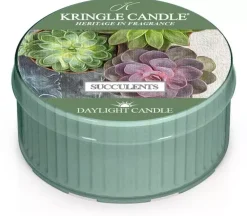 Kringle Candle Daylight Succulents 42 g