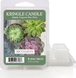 Kringle Candle Wax Melts Succulents 64 g