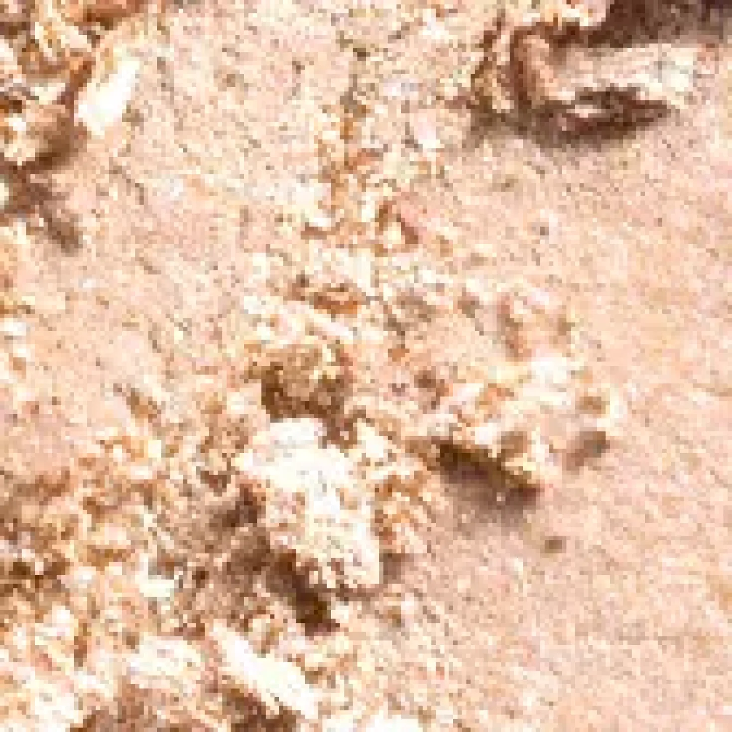 MAC Cosmetics Eye Shadow Pro Palette Refill Tete-A-Tint