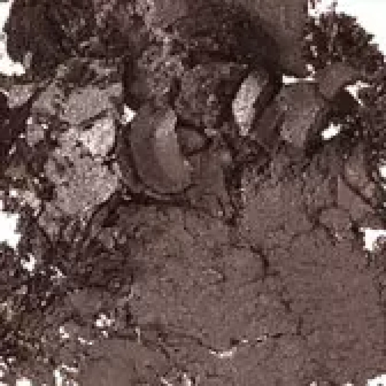 MAC Cosmetics Velvet Pro Palette Refill Mulch