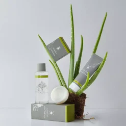 Mühle Aloe Vera Wooden Bowl with Shaving Soap 65 g