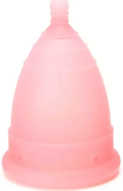 MonthlyCup Normal Pink