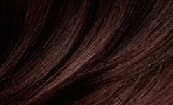 MontibelloDénuée OTC 6.65 Dark Blonde Chestnut Mahogany