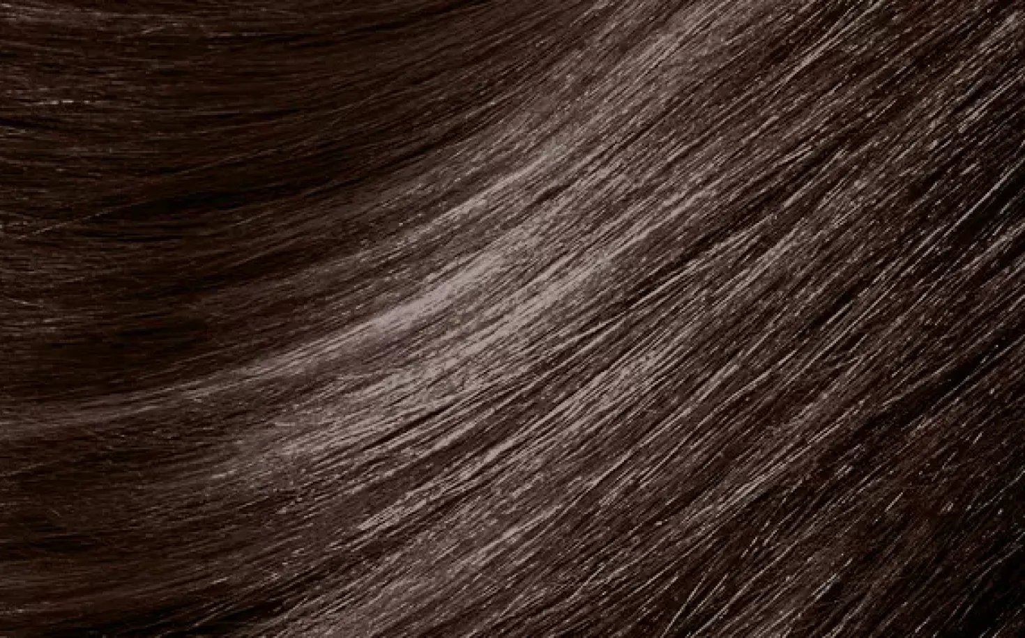MontibelloDénuée OTC 5.66 Light Brown Intensive Chestnut