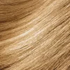 MontibelloDénuée OTC 9.3 Very Light Golden Blonde