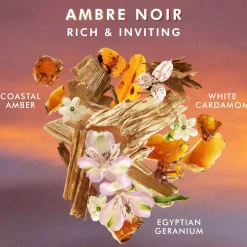 MoroccanoilBody Collection Hand Cream Ambre Noir 40 ml
