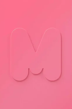 Morphe M161 Large Rounded Powder Brush