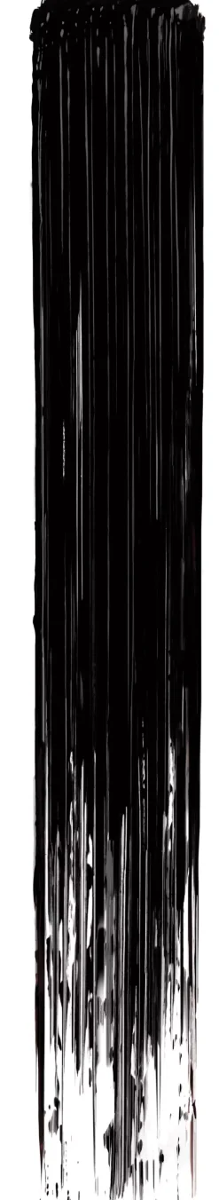 NARS Climax Mascara Black