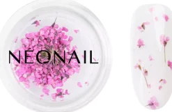 NEONAIL Dried flowers