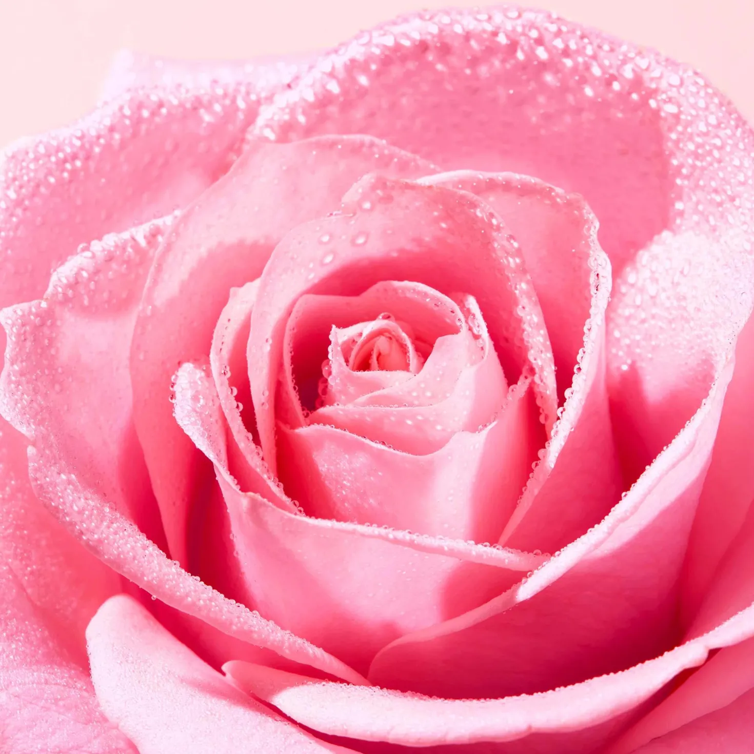 NuxeVery rose Delicate Cleansing Oil 150 ml