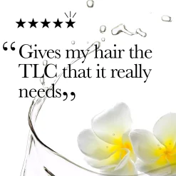 Ogx Coconut Miracle Oil Hair Mask 300 ml