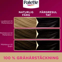 Palette Intensive Creme Coloration 6-0 Light Brown